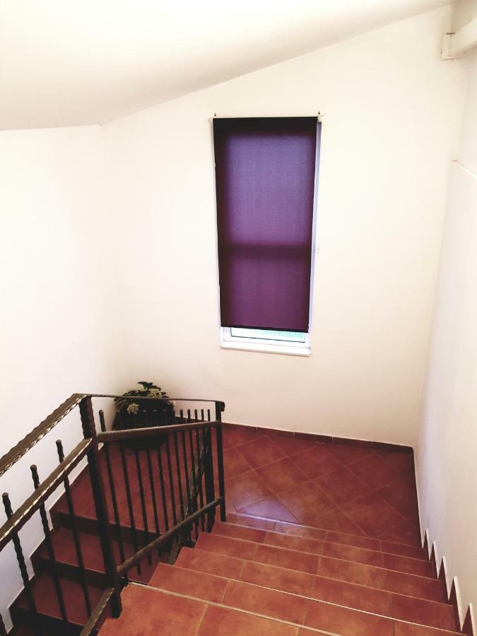 Apartments Petrovic بيروفاتش المظهر الخارجي الصورة